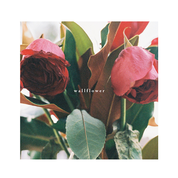 Wallflower