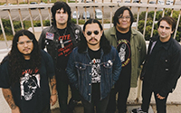 smlDeadHeat