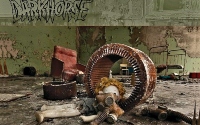 smlDarkhorse split