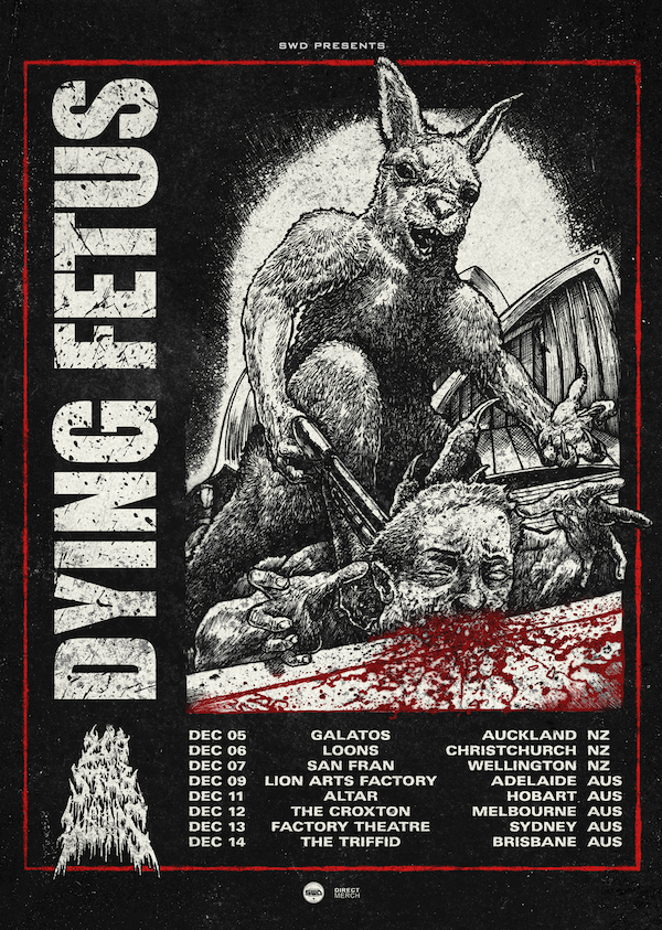 dftour