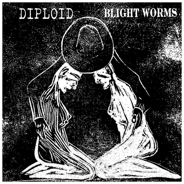 Diploid split