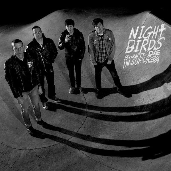 NightBirds