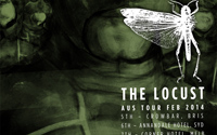 smlLocustFINALweb