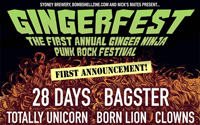 smlGinjerFest